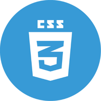 Skill 4 CSS logo